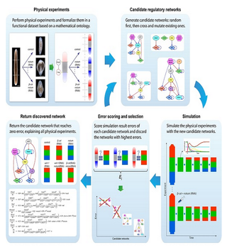 Illustration for article titled Scientists Use AI To Solve A Long-standing Genetics Mystery